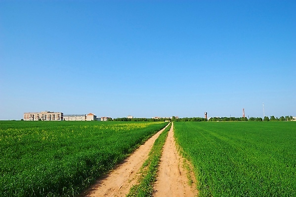 포토 JPG 해외이미지 구름 계절 자연 하늘 날씨 풍경 사람없음 야외 가로 여름 파란색 빛 햇빛 태양 쌓기 환경 침묵 자유 볏짚 땅 지역 밀짚 수평선 해외202004 해외포토 자연요소 컬러 컨셉 모션 소리 짚 생태계 파일형식 이미지허브