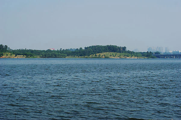 포토 JPG 해외이미지 호수 갈대 풍경 사람없음 버드나무 해외202004 해외포토 나무 식물 파일형식 이미지허브