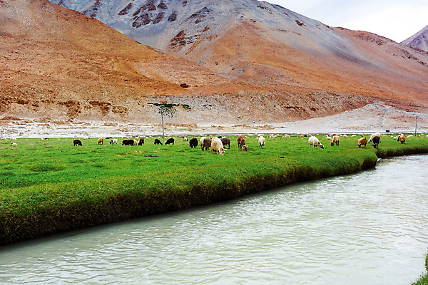 포토 JPG 해외이미지 동물 아시아 여행 밭 자연 하늘 산 풍경 사람없음 물 관광지 강 바위 개울 내추럴 해외202004 해외포토 자연요소 나라 농업 돌_바위 생태계 파일형식 이미지허브