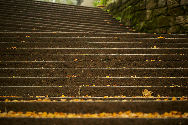 포토 JPG 해외이미지 식물 계절 공원 백그라운드 단풍 잎 자연 건조 사람없음 야외 세로 컬러풀 노란색 계단 침묵 산책로 가을 바위 그룹 황금 9월 11월 허브 오브젝트 유기농 단계 10월 내추럴 땅바닥 많음 해외202004 해외포토 웰빙 공공시설 길 컬러 컨셉 바닥 소리 돌_바위 날짜 생태계 파일형식 이미지허브