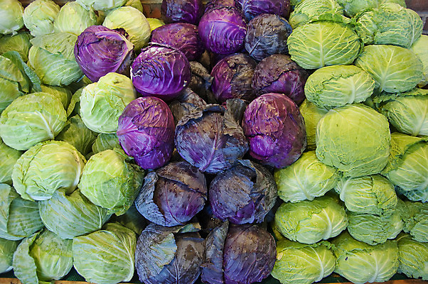 포토 JPG 해외이미지 음식 채소 재료 자연 건강 사람없음 초록색 샐러드 신선 유기농 양배추 날것 고립 채식주의자 해외202004 해외포토 웰빙 컬러 생태계 채식 파일형식 이미지허브