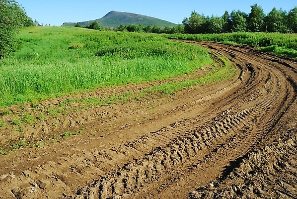 포토 JPG 해외이미지 도로 밭 자연 풍경 사람없음 야외 목재 초록색 여름 바퀴자국 언덕 먼지 진흙 해외202004 해외포토 나무 계절 길 컬러 농업 재료 교통시설 자국 생태계 파일형식 이미지허브