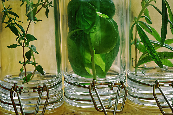 포토 JPG 해외이미지 식물 백그라운드 잎 재료 자연 유리 건강 요리 사람없음 목재 치료 초록색 약 주방 신선 양념 수집 허브 향신료 유기농 향 아로마테라피 바질 로즈메리 내추럴 백리향 해외202004 해외포토 나무 웰빙 컬러 의학 재질 생태계 테라피 향미료 파일형식 이미지허브