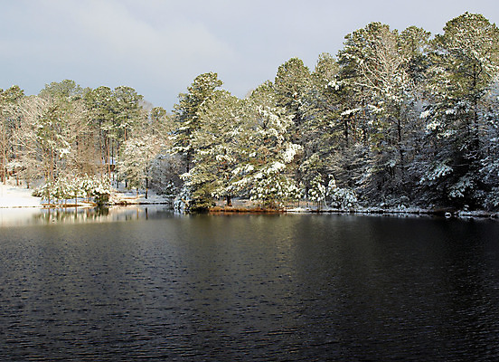 포토 JPG 해외이미지 나무 계절 호수 겨울 자연 날씨 풍경 사람없음 물 냉동 얼음 추위 흰색 연못 해외202004 해외포토 자연요소 식물 컬러 생태계 파일형식 이미지허브