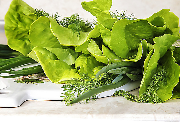 포토 JPG 해외이미지 식물 계절 음식 잎 농업 다이어트 채소 자연 양파 건강 요리 사람없음 야외 초록색 여름 빛 태양 정원 샐러드 성장 시골 신선 달콤 먹기 유기농 솜털 건강식 딜 숙성 채식주의자 세련 전경 해외202004 해외포토 자연요소 웰빙 산업 컬러 모션 풍경 맛 생태계 채식 파일형식 탑뷰 이미지허브