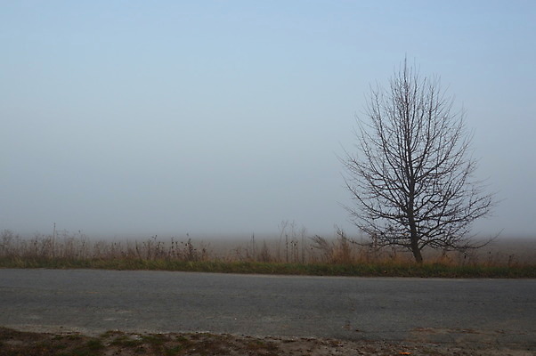 포토 JPG 해외이미지 나무 계절 실루엣 여행 백그라운드 자연 하늘 아침 산 풍경 사람없음 야외 목재 여름 마을 봄 산책 안개 시골 숲 언덕 해외202004 해외포토 주간 식물 재료 날씨 휴식 촬영기법 생태계 파일형식 이미지허브