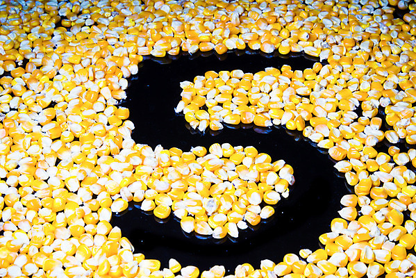 포토 JPG 해외이미지 음식 채소 건조 옥수수 씨앗 사람없음 목재 바구니 검은색 침묵 사발 5 생식 팝 해외202004 해외포토 나무 식물 컬러 재료 곡류 숫자 소리 사기그릇 파일형식 이미지허브