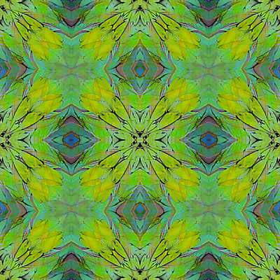 포토 JPG 해외이미지 동물 야생동물 백그라운드 패턴 날개 자연 조류 추상 사람없음 초록색 파란색 컬러풀 평화 깃털 질감 비둘기 내추럴 해외202004 해외포토 컬러 컨셉 무늬 생태계 파일형식 이미지허브