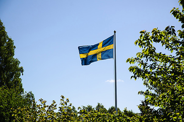 포토 JPG 해외이미지 나무 전통 유럽 물결 여행 잎 자연 하늘 바람 휴가 스웨덴 풍경 사람없음 초록색 여름 파란색 빛 컬러풀 노란색 나뭇가지 깃발 심볼 깃대 봉 스칸디나비아 전국 해외202004 해외포토 자연요소 식물 계절 나라 컬러 날씨 북유럽 생태계 파일형식 이미지허브