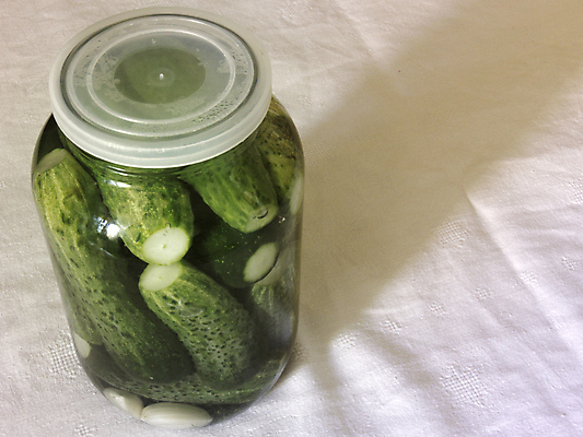 포토 JPG 해외이미지 음식 백그라운드 채소 유리 오이 요리 사람 사람없음 초록색 식사 샐러드 흰색 항아리 그룹 캔 보호 먹기 향신료 오브젝트 유기농 원예 피클 소금 수납 통조림 식초 식품점 절임 채식주의자 핸드메이드 해외202004 해외포토 웰빙 컬러 컨셉 모션 재질 취미 상점 도자기 채식 향미료 파일형식 이미지허브