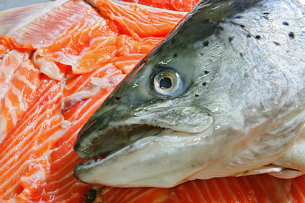 포토 JPG 해외이미지 음식 바다 조각 백그라운드 십자가 부분 낚시 추상 건강 육류 어류 스테이크 요리 동양인 사람없음 머리 쌓기 식당 일본 저녁식사 초밥 회 신선 그룹 맛 해산물 피부 오브젝트 준비 질감 날것 슬라이스 부드러움 연어 이국적 해외202004 해외포토 아시아 컨셉 무늬 식재료 모션 레저 서양음식 인종 신체부위 상점 식사 수중동물 감각 일본음식 파일형식 이미지허브