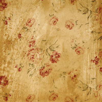 포토 JPG 해외이미지 아이콘 디자인 꽃 종이 벽 분홍색 섬 백그라운드 패턴 건축양식 벽지 추상 휴가 주택 따뜻함 미술 사람없음 야외 그래픽 장식 컬러풀 노란색 문 페인트 코트 수확 붓 역사 냄비 편지 묘사 그림 질감 진홍색 그런지 엘리먼트 옛날 스타일 해외202004 해외포토 식물 건축 컬러 무늬 농업 문화예술 건물 빨간색 외투 솥 파일형식 이미지허브