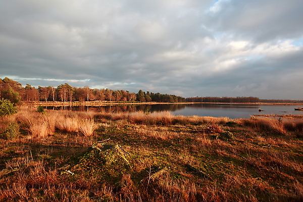 포토 JPG 해외이미지 식물 구름 계절 호수 자연 하늘 날씨 이끼 풍경 사람없음 야외 물 빛 햇빛 맑음 일몰 시골 연못 습지 네덜란드 평야 해외202004 해외포토 자연요소 유럽 태양 노을 생태계 파일형식 이미지허브