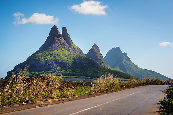 포토 JPG 해외이미지 식물 산업 섬 여행 밭 아프리카 자연 하늘 산 풍경 사람없음 야외 초록색 파란색 태양 농장 환경 성장 시골 유기농 장면 낙타 모리셔스 생태학 카피스페이스 해외202004 해외포토 자연요소 웰빙 교육 나라 컬러 농업 포유류 공백 생태계 파일형식 이미지허브