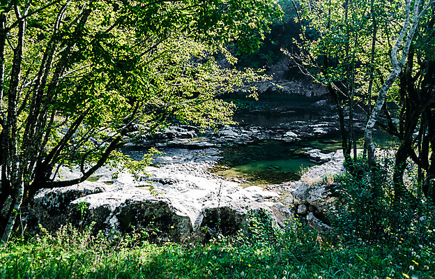 포토 JPG 해외이미지 나무 식물 여행 잎 자연 휴가 풍경 사람없음 초록색 빛 강 하이킹 나뭇가지 신선 개울 내추럴 조지아 해외202004 해외포토 컬러 레저 생태계 동유럽 파일형식 이미지허브