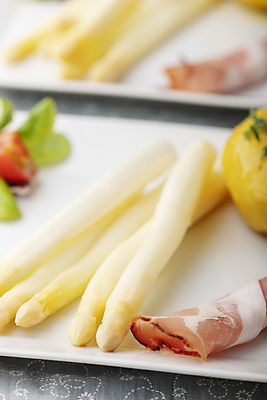 포토 JPG 해외이미지 접시 음식 백그라운드 토마토 채소 재료 부분 탁자 감자 건강 요리 사람없음 초록색 식사 봄 샐러드 흰색 직물 신선 그릴 상품 싱글 유기농 햄 아스파라거스 정사각형 내추럴 바이오 바이에른사람 해외202004 해외포토 도형 식기 웰빙 계절 컬러 가구 주방용품 육류 파일형식 이미지허브