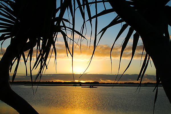 포토 JPG 해외이미지 모래 바다 조류 하늘 휴가 휴식 항해 풍경 사람없음 물 컬러풀 평화 일출 침묵 새벽 장면 파라다이스 수평선 해외202004 해외포토 자연요소 동물 컬러 컨셉 배_교통 노을 소리 파일형식 이미지허브