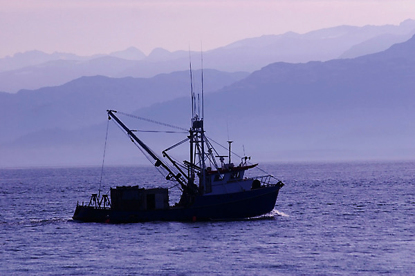 포토 JPG 해외이미지 바다 교통시설 아침 낚시 휴가 산 어류 사람없음 물 일출 새벽 추위 안개 만 어선 보트 함선 알래스카 해외202004 해외포토 주간 자연요소 교통 배_교통 레저 날씨 노을 미국 수중동물 시설 파일형식 이미지허브
