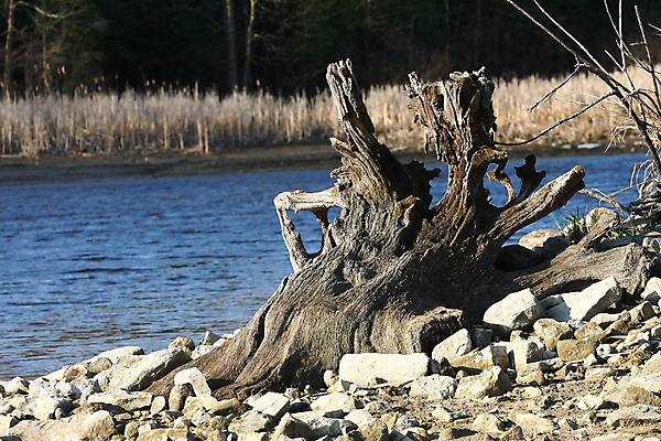 포토 JPG 해외이미지 나무 계절 공원 파도 바다 여행 자연 하늘 아침 휴가 산 풍경 사람없음 야외 빨간색 초록색 물 여름 파란색 강 컬러풀 태양 평화 환경 침묵 일몰 연못 황무지 숲 장면 내추럴 해외202004 해외포토 주간 자연요소 식물 공공시설 컬러 컨셉 노을 소리 생태계 파일형식 이미지허브