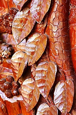 포토 JPG 해외이미지 전통 아시아 문화 조각 잎 패턴 태국 미술 사람없음 목재 장식 갈색 골동품 기둥 업무 황금 고급 심볼 대나무 묘사 강렬 옛날 핸드메이드 해외202004 해외포토 나무 식물 건축 나라 컬러 컨셉 무늬 재료 문화예술 작업 파일형식 이미지허브