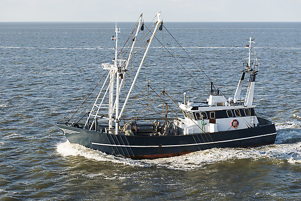 포토 JPG 해외이미지 교육 문화 파도 바다 자연 아침 낚시 조개 새우 파노라마 사람없음 물 파란색 빛 세계 햇빛 도구 그물 보트 행운 재산 큼 쇠사슬 활 함선 상업 홍합 지역 돛대 뱃놀이 수평선 해외202004 해외포토 주간 자연요소 컬러 컨셉 배_교통 레저 어패류 촬영기법 갑각류 금융 태양 전통놀이 크기 생태계 파일형식 이미지허브