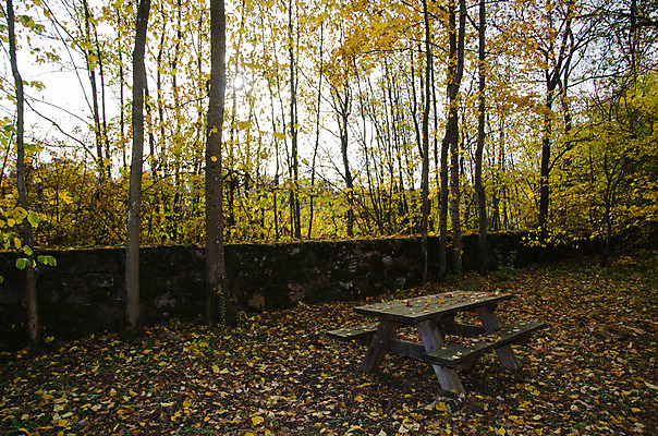 포토 JPG 해외이미지 계절 가구 잎 벤치 의자 자연 탁자 휴식 스웨덴 이끼 앉기 풍경 사람없음 야외 목재 초록색 정원 수확 가을 숲 장면 옛날 해외202004 해외포토 나무 식물 컬러 생활용품 컨셉 농업 재료 모션 북유럽 생태계 파일형식 이미지허브