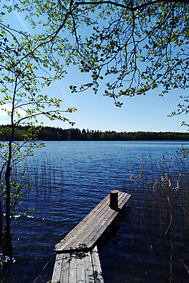 포토 JPG 해외이미지 나무 계절 공원 호수 여행 백그라운드 오렌지 자연 하늘 아침 휴가 휴식 풍경 사람없음 야외 목재 가로 물 여름 파란색 강 컬러풀 햇빛 태양 반사 노란색 항구 맑음 흰색 숲 강가 갑판 장면 내추럴 해외202004 해외포토 주간 자연요소 식물 공공시설 컬러 컨셉 배_교통 과일 재료 교통시설 날씨 생태계 파일형식 이미지허브