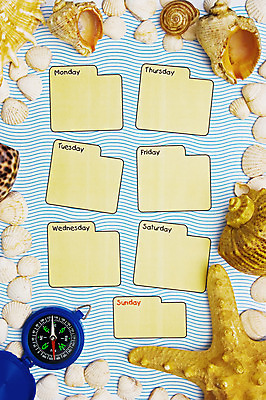 포토 JPG 해외이미지 교육 바다 여행 조개 불가사리 액자틀 사람없음 파란색 다이어리 달력 껍질 일주일 나침반 해외202004 해외포토 컬러 액자 어패류 극피동물 틀 사무용품 파일형식 이미지허브