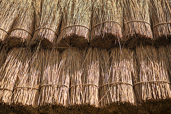포토 JPG 해외이미지 벽 여행 백그라운드 잎 패턴 건축양식 태국 자연 지붕 열대 주택 건조 따뜻함 손바닥 갈대 사람없음 목재 여름 태양 갈색 노란색 수확 나뭇가지 시골 오두막 대나무 시골집 질감 밀짚 원시시대 부족 내추럴 볏집 옛날 이국적 카피스페이스 해외202004 해외포토 자연요소 나무 식물 손 계절 건축 아시아 컬러 컨셉 무늬 농업 재료 건물 공백 역사 짚 생태계 파일형식 이미지허브