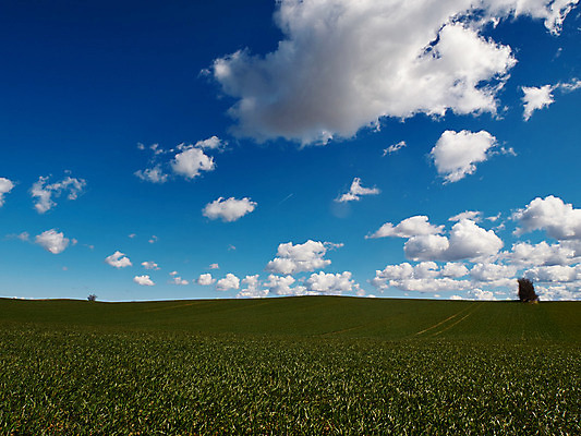 포토 JPG 해외이미지 식물 구름 계절 백그라운드 밭 농업 자연 하늘 날씨 풍경 잔디 사람없음 야외 초록색 여름 파란색 컬러풀 햇빛 농장 환경 침묵 봄 활발 성장 시골 신선 땅 언덕 자연백그라운드 장면 내추럴 밭일 수평선 세련 해외202004 해외포토 자연요소 산업 컬러 컨셉 태양 소리 생태계 파일형식 이미지허브