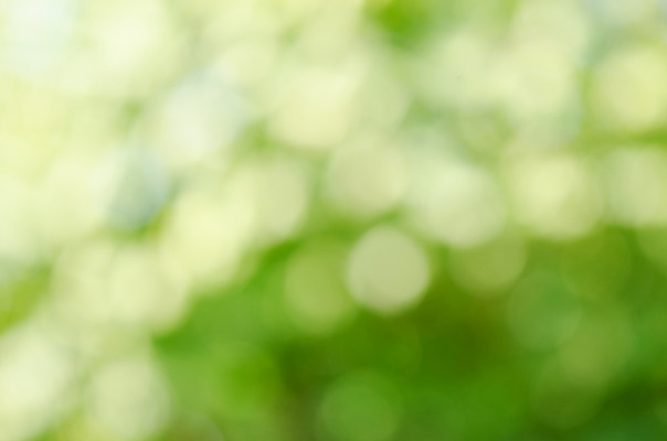 포토 JPG 해외이미지 디자인 계절 백그라운드 잎 패턴 자연 추상 사람없음 초록색 빛 햇빛 맑음 봄 소프트포커스 숲 보케 부드러움 내추럴 블러 효과 해외202004 해외포토 식물 컬러 무늬 날씨 촬영기법 태양 감각 생태계 파일형식 이미지허브