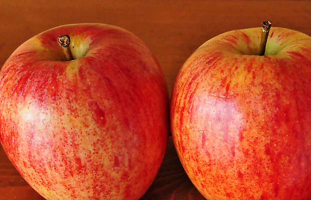 포토 JPG 해외이미지 음식 2 과일 건강 사람없음 빨간색 달콤 사과 먹기 날것 숙성 해외202004 해외포토 컬러 모션 맛 파일형식 이미지허브