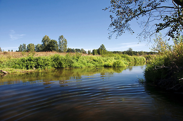 포토 JPG 해외이미지 나무 구름 계절 공원 호수 여행 잎 밭 자연 하늘 풍경 사람없음 야외 목재 초록색 물 여름 파란색 강 컬러풀 햇빛 반사 맑음 침묵 봄 흰색 시골 연못 숲 내추럴 수평선 해외202004 해외포토 자연요소 식물 공공시설 컬러 농업 재료 날씨 태양 소리 생태계 파일형식 이미지허브