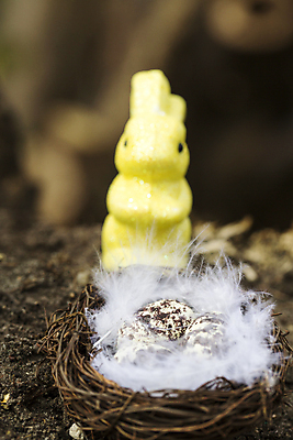 포토 JPG 해외이미지 전통 계절 종교 음식 휴가 부활절 기념 안테나 사람없음 목재 장식 초록색 컬러풀 갈색 계란 축제 봄 시골 축하 토끼 인사 신선 최고 변화 둥지 깃털 머리위 녹색배경 해외202004 해외포토 나무 기념일 컬러 백그라운드 컨셉 재료 통신 포유류 반려동물 알 예절 파일형식 이미지허브
