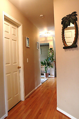 포토 JPG 해외이미지 라이프스타일 디자인 가구 의자 창문 탁자 주택 실내 사람없음 내부 목재 장식 소파 금속 식사 산책 방 흰색 램프 재산 고급 메인 리빙 방법 진짜 생존 해외202004 해외포토 나무 컬러 생활용품 컨셉 재료 재질 휴식 조명 건물 생활 금융 파일형식 이미지허브