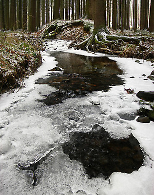 포토 JPG 해외이미지 계절 백그라운드 겨울 자연 불꽃 풍경 사람없음 야외 물 빛 강 컬러풀 맑음 얼음 침묵 봄 젖음 흐름 추위 덮개 흰색 신선 투명 개울 숲 시원함 크리스탈 북극 묘사 서리 장노출 고드름 오르막 내추럴 생태학 해외202004 해외포토 자연요소 교육 컬러 컨셉 불 날씨 촬영기법 소리 뚜껑 광석 극지방 생태계 파일형식 이미지허브
