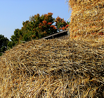 포토 JPG 해외이미지 식물 동물 계절 음식 겨울 밭 농업 자연 건조 사람없음 농장 쌓기 가을 시골 볏짚 뭉치 외양간 감싸기 밭일 해외202004 해외포토 산업 모션 짚 생태계 파일형식 이미지허브