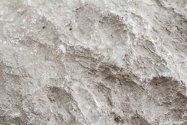 포토 JPG 해외이미지 벽 백그라운드 패턴 이끼 사람없음 초록색 거친 질감 복고 시멘트 옛날 해외202004 해외포토 컬러 무늬 파일형식 이미지허브