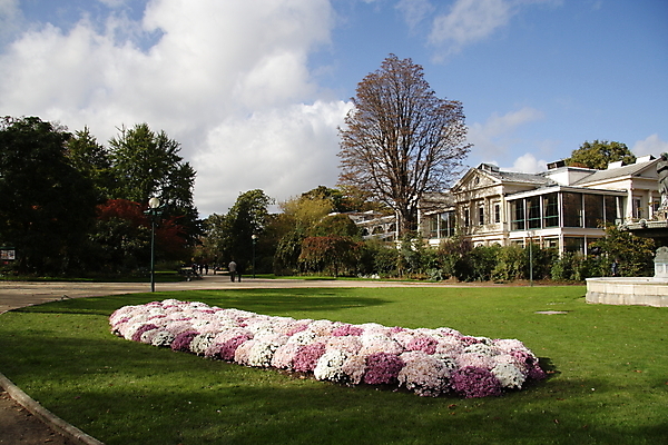 포토 JPG 해외이미지 나무 식물 계절 공원 도로 길 낙엽 잎 오렌지 자연 요정 기술 풍경 사람없음 야외 목재 빨간색 초록색 여름 빛 태양 노란색 걷기 환경 침묵 봄 활발 하이킹 성장 가을 나뭇가지 시골 황무지 황금 숲 오솔길 싱글 먼지 장면 지역 10월 멀티 해외202004 해외포토 자연요소 공공시설 컬러 컨셉 과일 재료 교통시설 모션 레저 소리 날짜 생태계 파일형식 이미지허브