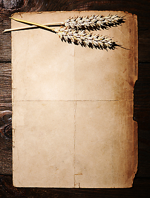 포토 JPG 해외이미지 종이 음식 백그라운드 컨셉 탁자 아이디어 요리 씨앗 사람없음 목재 책 갈색 주방 공백 기구 시골 밀 굽기 메뉴 국자 귀 레시피 후추 성분 호밀 목차 카피스페이스 해외202004 해외포토 나무 식물 컬러 가구 재료 주방용품 곡류 신체부위 구이 향신료 파일형식 이미지허브