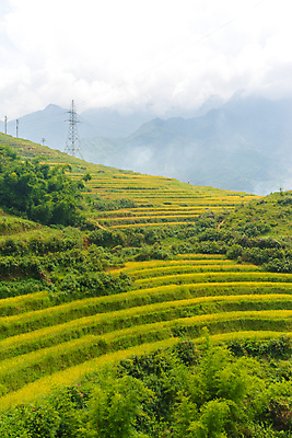 포토 JPG 해외이미지 식물 아시아 지구 선 여행 밭 농업 태국 자연 밥 산 동양인 풍경 사람없음 야외 초록색 농장 환경 계곡 중국 시골 거친 땅 언덕 베트남 발리 캄보디아 말레이시아 미얀마 인도차이나반도 해외202004 해외포토 나라 산업 음식 컬러 섬 인종 동남아시아 생태계 인도네시아 파일형식 이미지허브