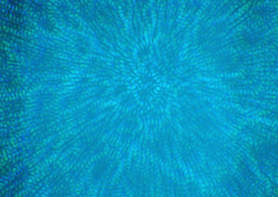 포토 JPG 해외이미지 과학 통신 커뮤니케이션 추상 미래 조명 사람없음 빛 컬러풀 어둠 활발 투명 실 우아함 플라스틱 다발 유연 보따리 섬유 공학 빛망울 물리학 필라멘트 주도 부족함 해외202004 해외포토 교육 컬러 컨셉 무늬 재질 직물 예절 물리 파일형식 이미지허브