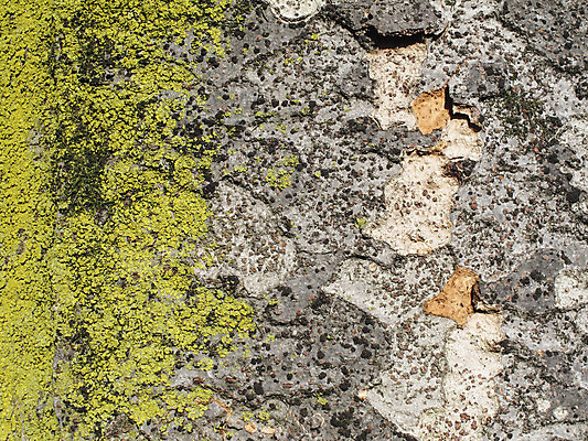 포토 JPG 해외이미지 나무 식물 백그라운드 패턴 자연 표면 추상 건조 이끼 사람없음 목재 갈색 껍질 거친 보호 피부 묘사 질감 나무껍질 내추럴 그런지 삼나무 수목 옛날 노화 해외202004 해외포토 컬러 컨셉 무늬 재료 신체부위 생태계 파일형식 이미지허브