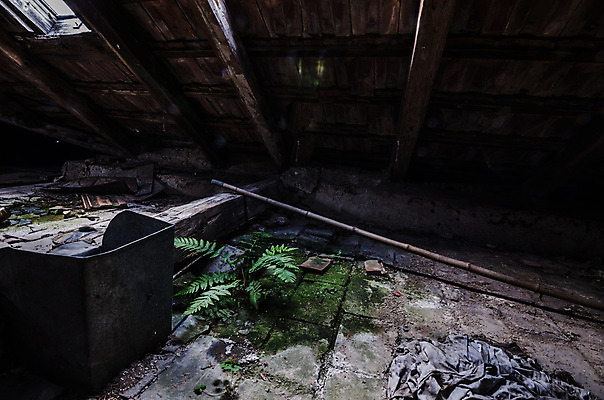 포토 JPG 해외이미지 벽 건축양식 창문 주택 이야기 사람없음 건물 탐험 역사 빌라 천연기념물 발견 떠남 무인 옛날 파멸 해외202004 해외포토 건축물 건축 컨셉 모션 파일형식 소멸 이미지허브