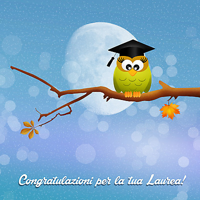포토 JPG 해외이미지 직업 교육 일러스트 졸업 학교 조류 성공 사람없음 축하 졸업장 실업 대학교 부엉이 고용 증명서 캡모자 해외202004 해외포토 동물 모자_잡화 컨셉 비즈니스 구직 채용 파일형식 이미지허브