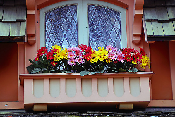 포토 JPG 해외이미지 꽃 벽 여행 건축양식 창문 주택 사랑 사람없음 장식 문 이탈리아 궁전 신혼여행 골동품 발코니 기둥 도시 화려 묘사 열정 베네치아 셔터 낭만주의 옛날 스타일 디테일 해외202004 해외포토 식물 건축 감정 유럽 결혼 컨셉 고건축 건물 파일형식 이미지허브