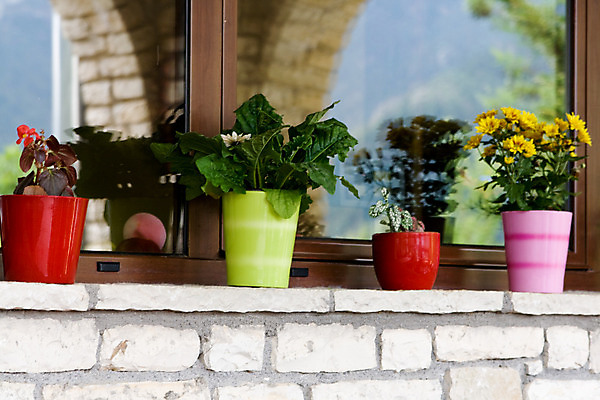 포토 JPG 해외이미지 꽃 분홍색 창문 서기 사람없음 장식 빨간색 초록색 컬러풀 노란색 발코니 냄비 향기 제비 해외202004 해외포토 식물 컬러 모션 조류 솥 냄새 파일형식 이미지허브