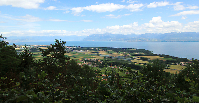포토 JPG 해외이미지 나무 구름 유럽 호수 여행 밭 자연 하늘 산 파노라마 풍경 사람없음 초록색 물 여름 파란색 시골 스위스 장면 해외202004 해외포토 자연요소 식물 계절 나라 컬러 농업 촬영기법 생태계 파일형식 이미지허브