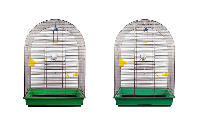 포토 JPG 해외이미지 식물 응시 백그라운드 조류 사람없음 반려동물 금속 흰색 오브젝트 웨이브 앵무새 새장 고립 이국적 해외202004 해외포토 동물 시선 컬러 재질 케이지 파일형식 이미지허브