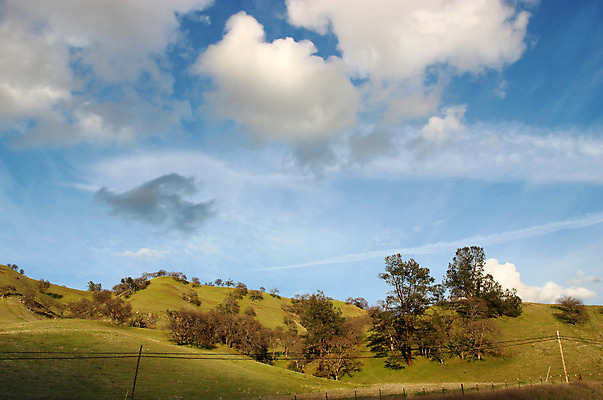 포토 JPG 해외이미지 나무 식물 구름 계절 백그라운드 밭 농업 자연 하늘 날씨 풍경 사람없음 야외 목재 초록색 여름 파란색 햇빛 태양 농장 환경 맑음 봄 흰색 시골 신선 숲 땅 언덕 장면 지역 내추럴 밭일 평야 수평선 해외202004 해외포토 자연요소 산업 컬러 재료 생태계 파일형식 이미지허브